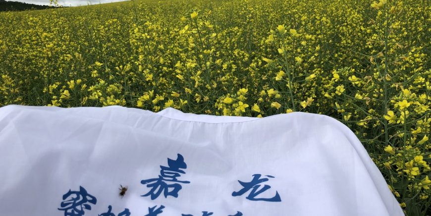 拥有专业的团队